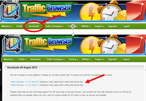 traffic browser